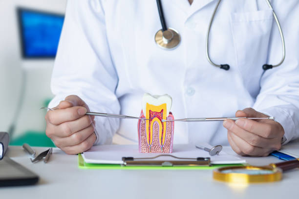 Reliable MN Emergency Dental Service Solutions